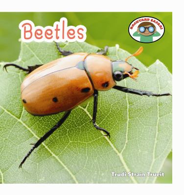 Beetles