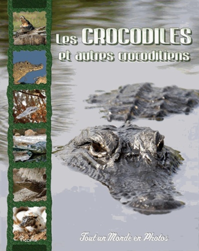 Les crocodiles et autres crocodiliens