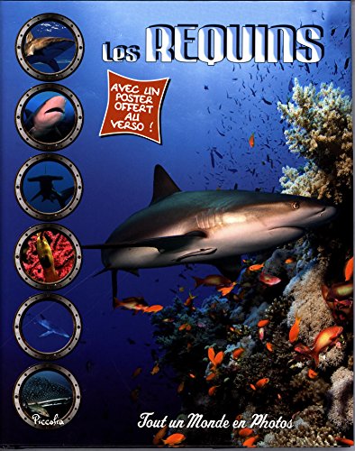 Les requins