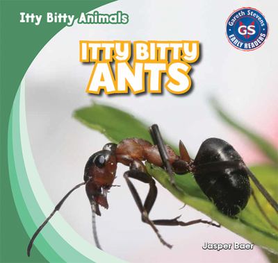 Itty bitty ants