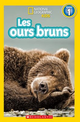 Les ours bruns