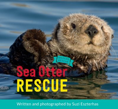 Sea otter rescue