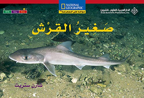 The baby shark = òSaghåir al-qirsh