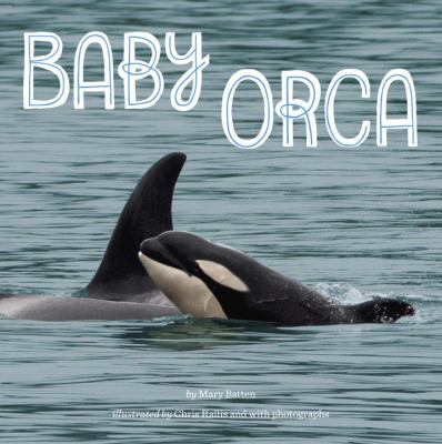 Baby orca