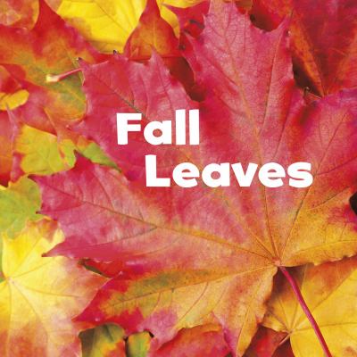 Fall leaves