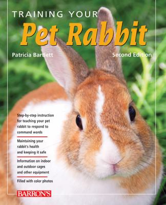 Training your pet rabbit