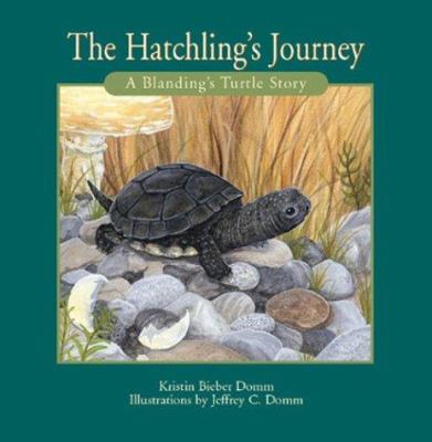 The Hatchling's journey : a Blanding's turtle story