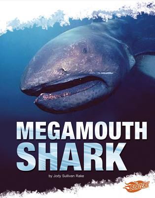 Megamouth shark