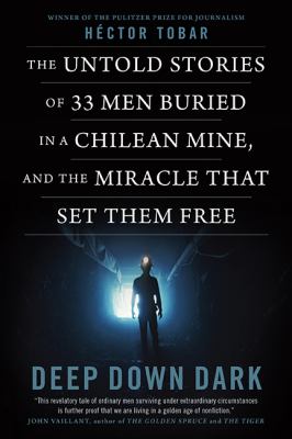 The 33 : deep down dark : the untold stories of 33 men buried in a Chilean mine, and the miracle that set them free