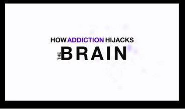 How addiction hijacks the brain
