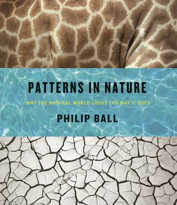 Patterns in nature : why the natural world looks the way it does