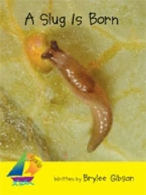 A slug is born