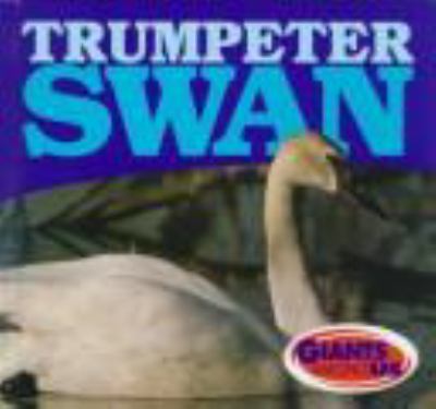 Trumpeter swan