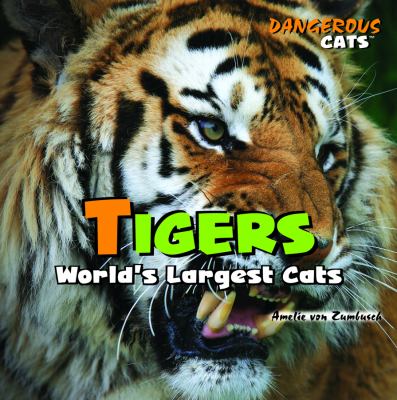 Tigers : world's largest cats