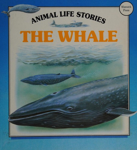 The whale