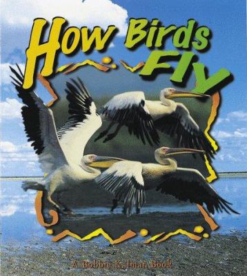 How birds fly