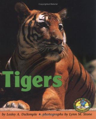 Tigers