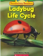 Ladybug life cycle