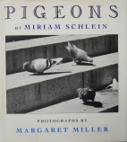 Pigeons