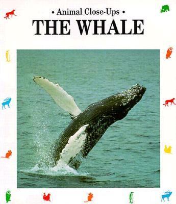 The whale : giant of the ocean