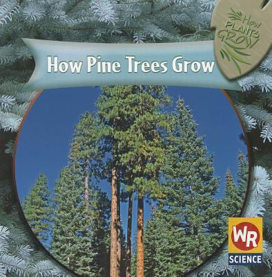 How pine trees grow