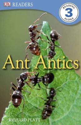 Ant antics