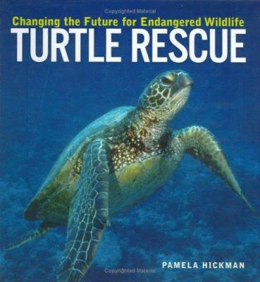 Turtle rescue : changing the future for endangered wildlife