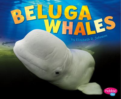 Beluga whales