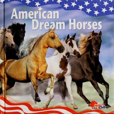 American dream horses.