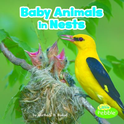 Baby animals in nests