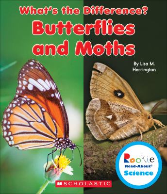 Butterflies and moths