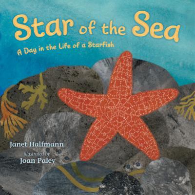 Star of the sea : a day in the life of a starfish