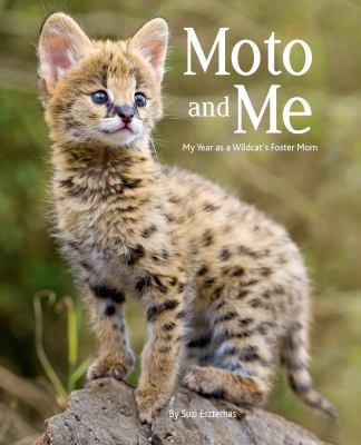 Moto and me : my year as a wildcat's foster mom