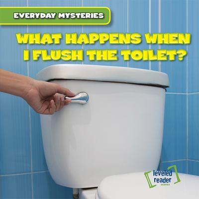 What happens when I flush the toilet?