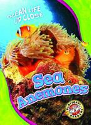 Sea anemones