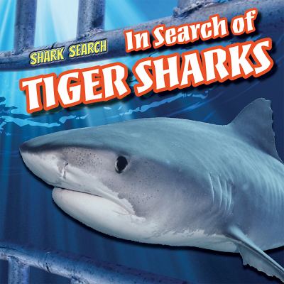 In search of tiger sharks