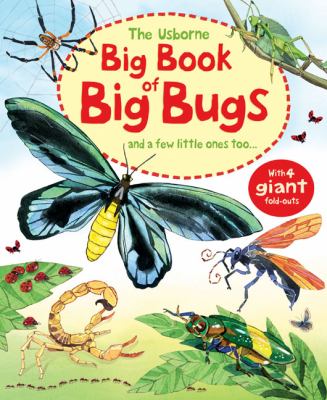 The Usborne big book of big bugs and a few little ones too--