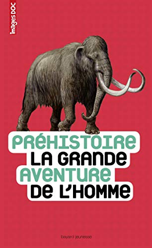 Préhistoire, la grande aventure de l'homme