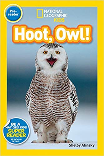 Hoot, owl!