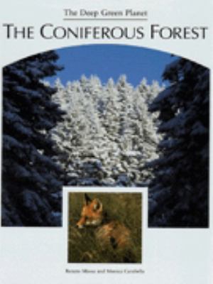 The coniferous forest