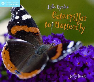 Caterpillar to butterfly