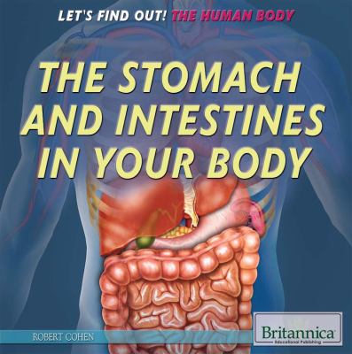 The stomach and intestines in your body