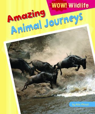 Amazing animal journeys