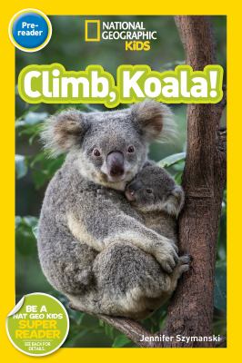 Climb, koala!