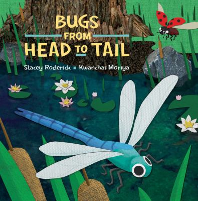 Bugs from head to tail