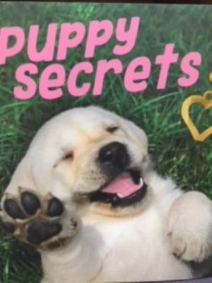 Puppy secrets