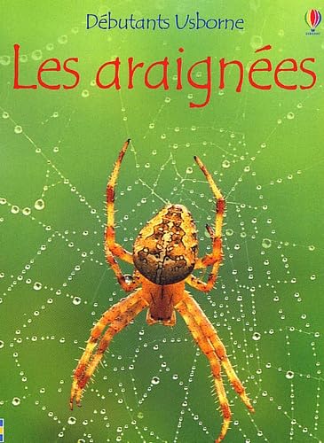 Les araignées