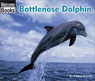 Bottlenose dolphin