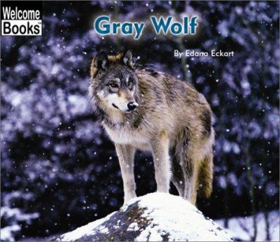 Gray wolf