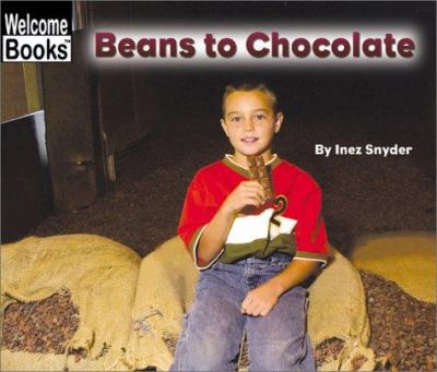 Beans to chocolate